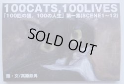 画像1: 100CATS,100LIVES「100匹の猫、100の人生」第一集(SCENE1〜12)