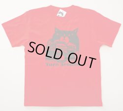 画像1: Tシャツ「猫とカメラ」ハイレッド