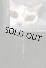ポストカード(CAT) - 鉄男 TETSUO Official Site