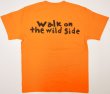 画像2: Tシャツ「My life as a★cat」オレンジ (2)